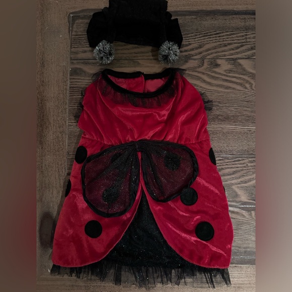 Lady bug Dog costume- size M - Picture 3 of 16